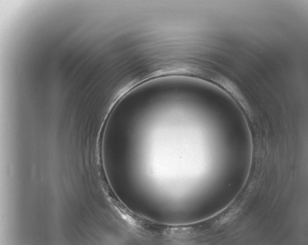 X0000060810858200511171306