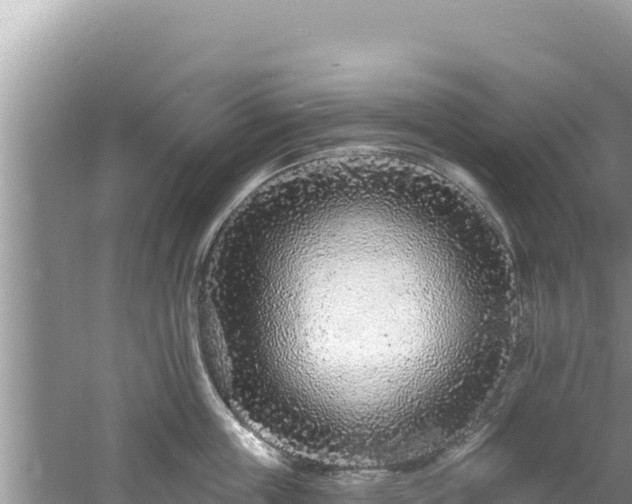 X0000060810859200511171306