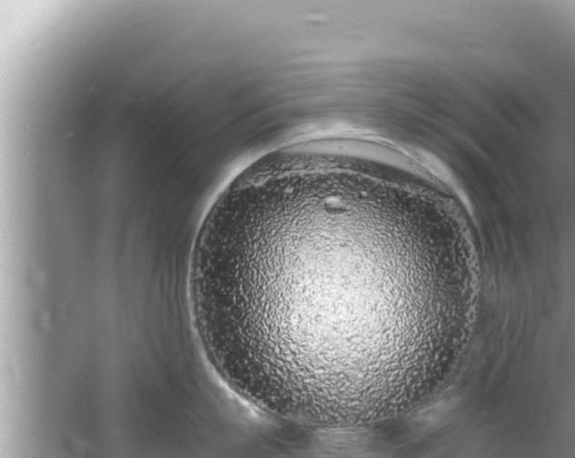 X0000060810863200511171307