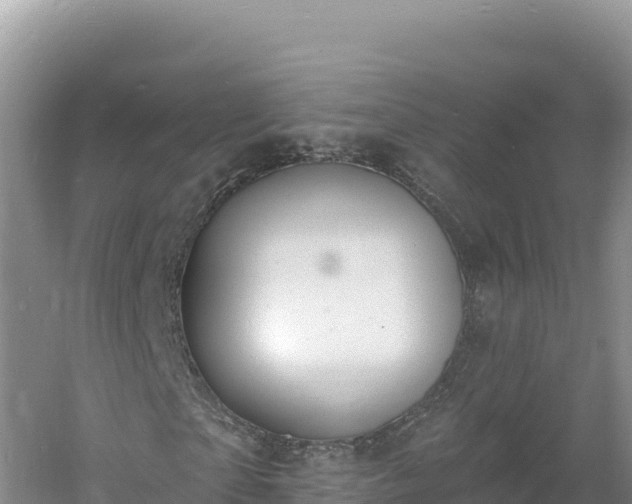 X0000060810865200511171306