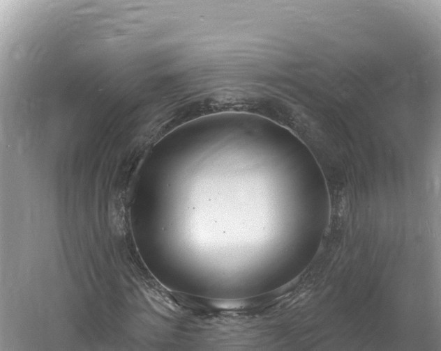 X0000060810868200511171306