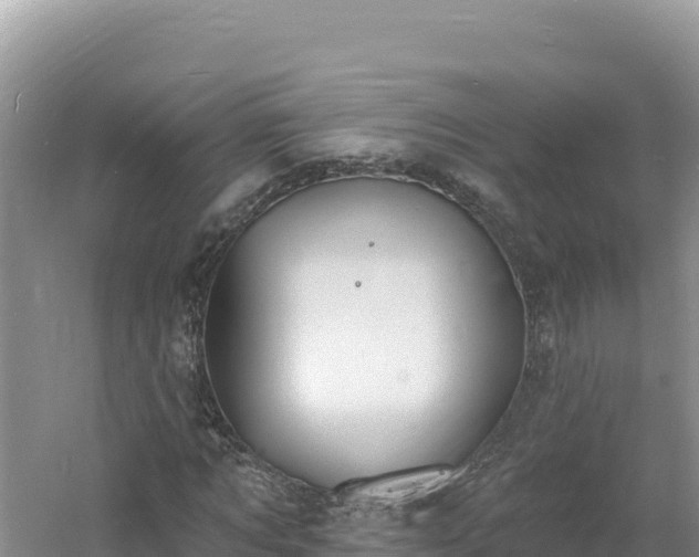 X0000060810869200511171306