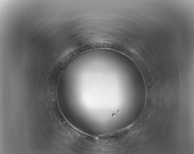 X0000060810870200511171306