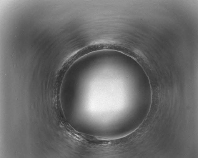 X0000060810872200511171306