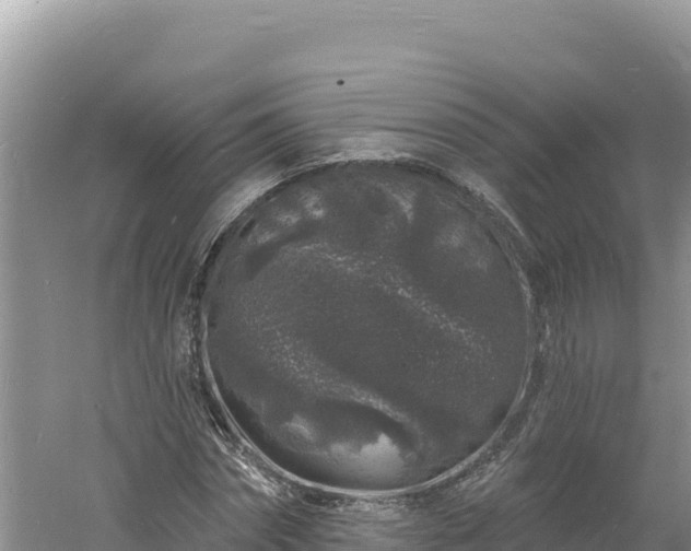 X0000060810874200511171306