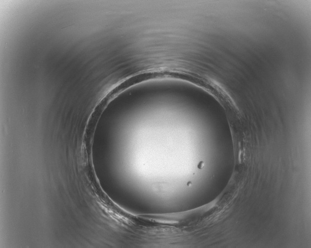 X0000060810876200511171306