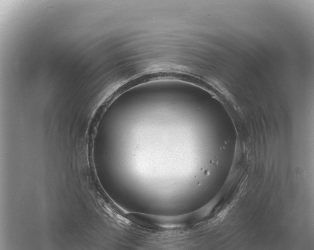 X0000060810877200511171306