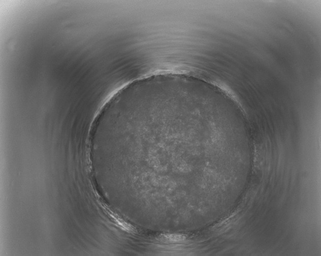 X0000060810878200511171306