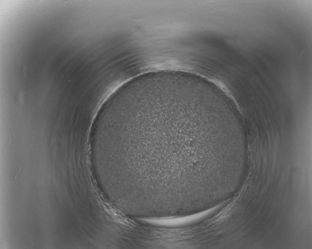 X0000060810879200511171306