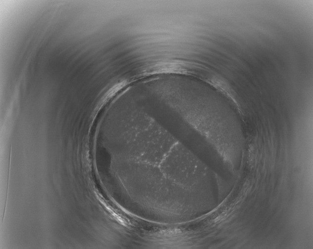 X0000060810882200511171305