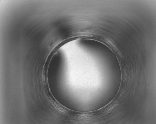 X0000060810883200511171305