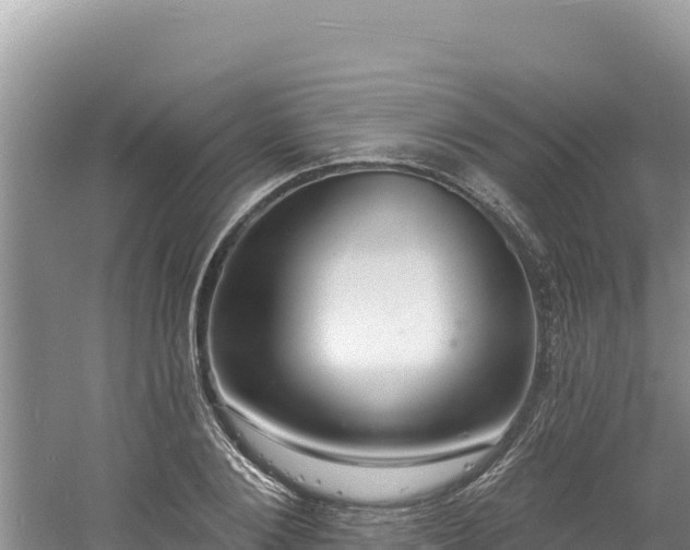 X0000060810884200511171305