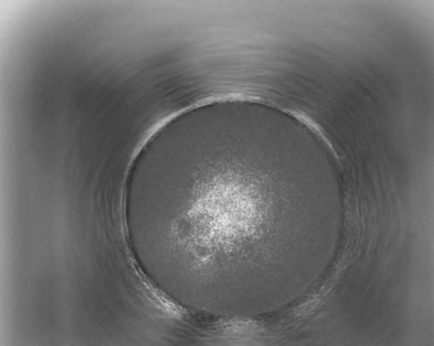 X0000060810886200511171305