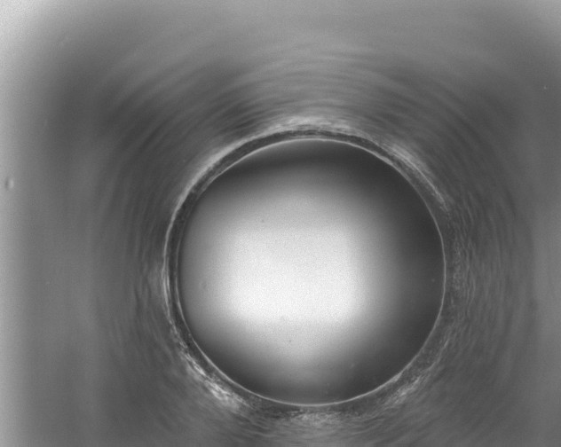 X0000060810888200511171305