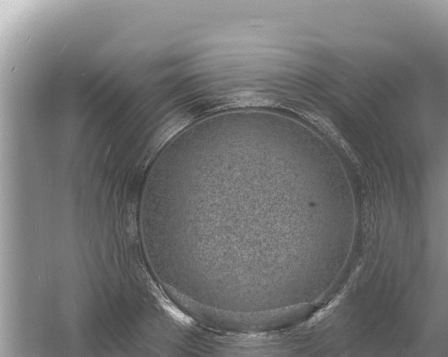 X0000060810889200511171305