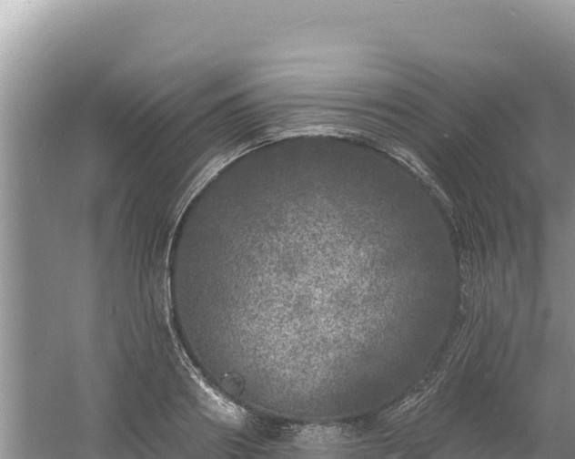 X0000060810890200511171305