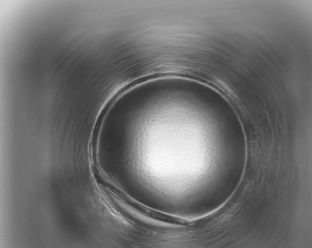 X0000060810891200511171305