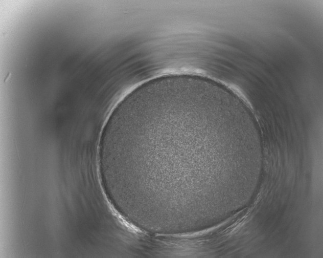 X0000060810895200511171305