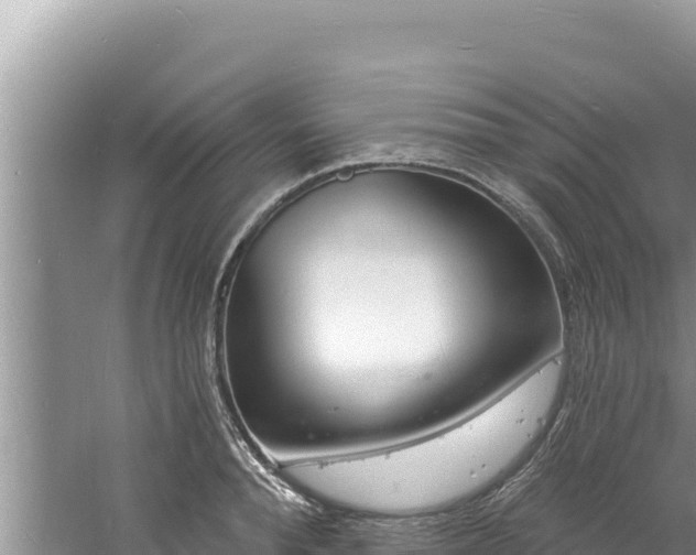 X0000060810896200511171305