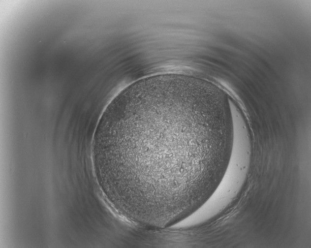 X0000060810899200511171305