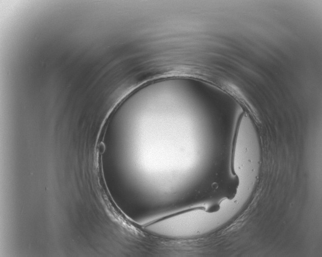 X0000060810900200511171305