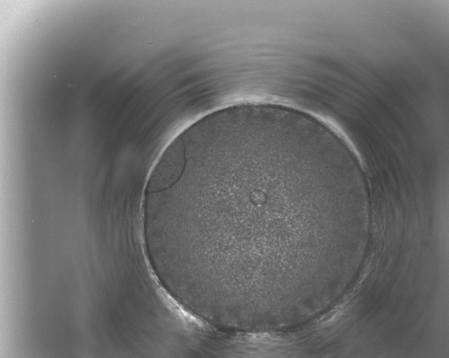 X0000060810903200511171305