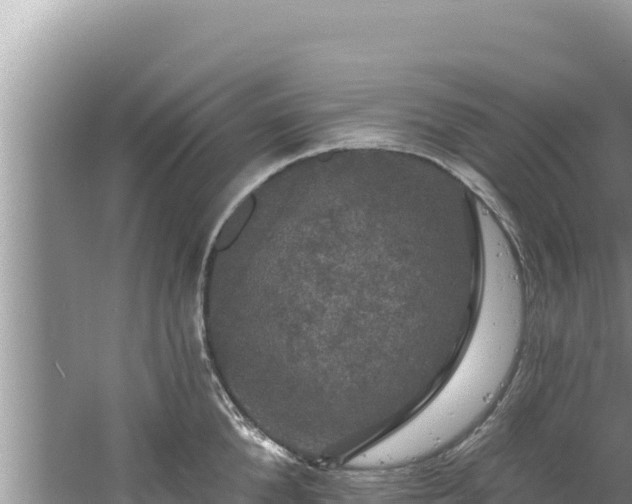 X0000060810904200511171305