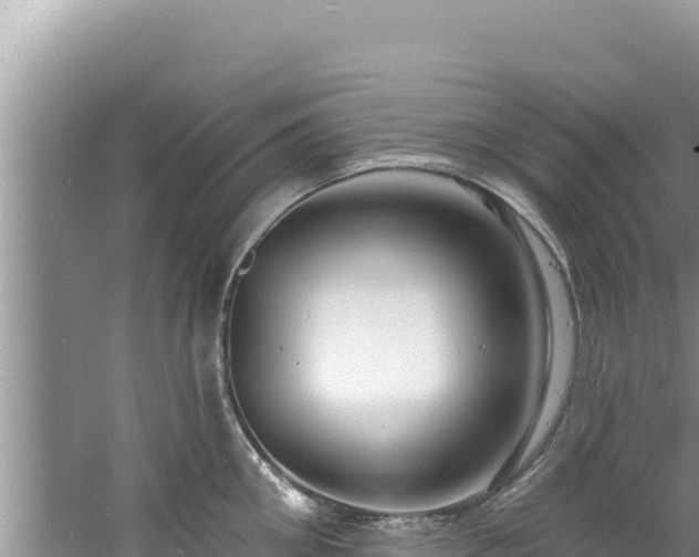 X0000060810906200511171305