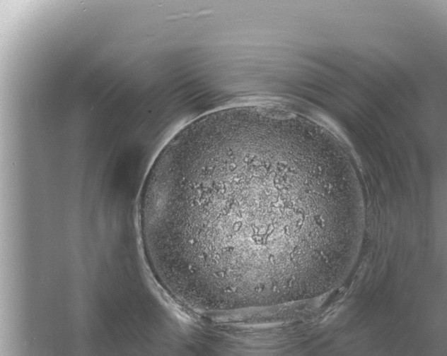 X0000060810907200511171305