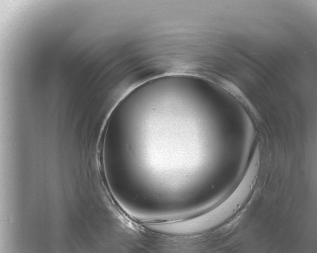 X0000060810908200511171305