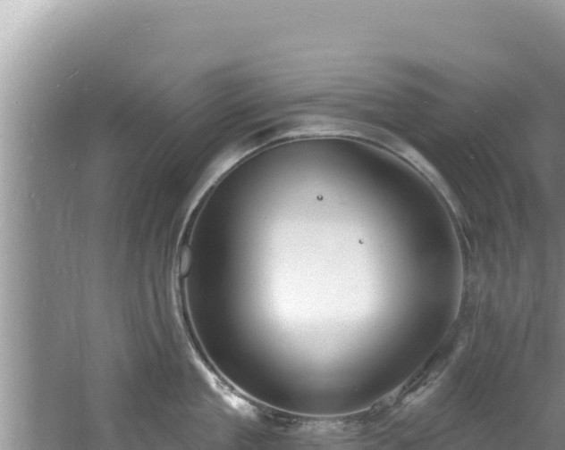 X0000060810909200511171305