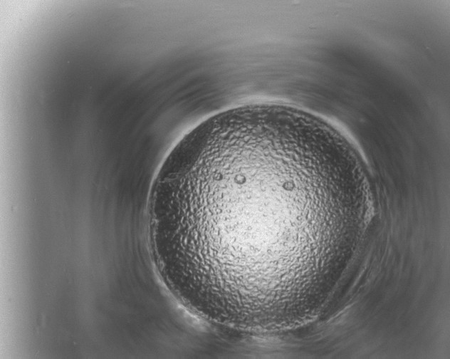 X0000060810911200511171305