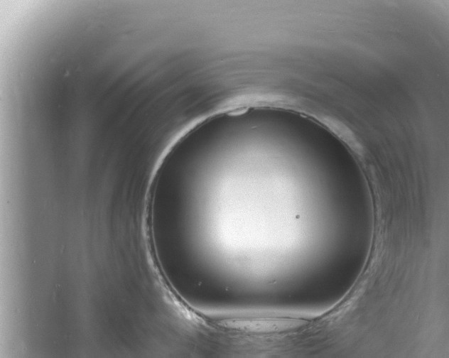 X0000060810912200511171305