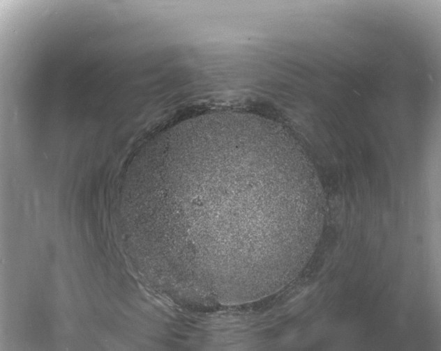 X0000060810913200511171304