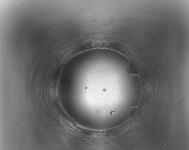 X0000060810914200511171304