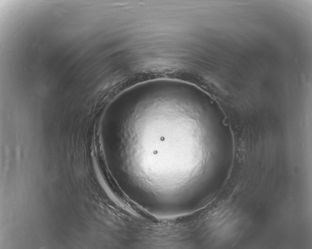 X0000060810917200511171304