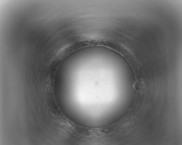 X0000060810918200511171304