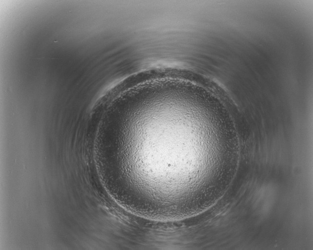 X0000060810919200511171304