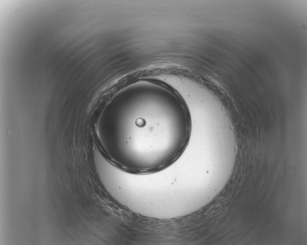 X0000060810920200511171304