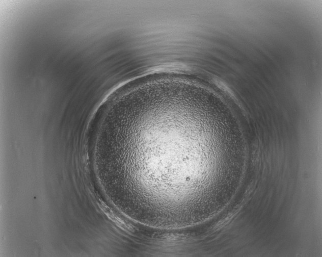 X0000060810923200511171304