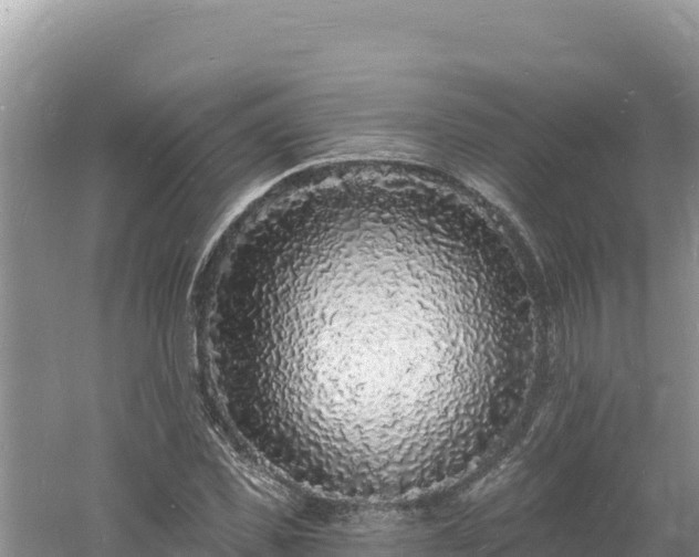 X0000060810925200511171304