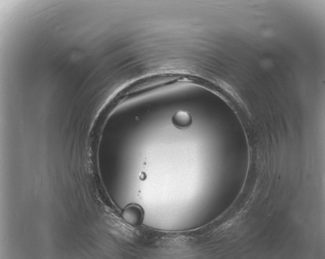 X0000060810926200511171304