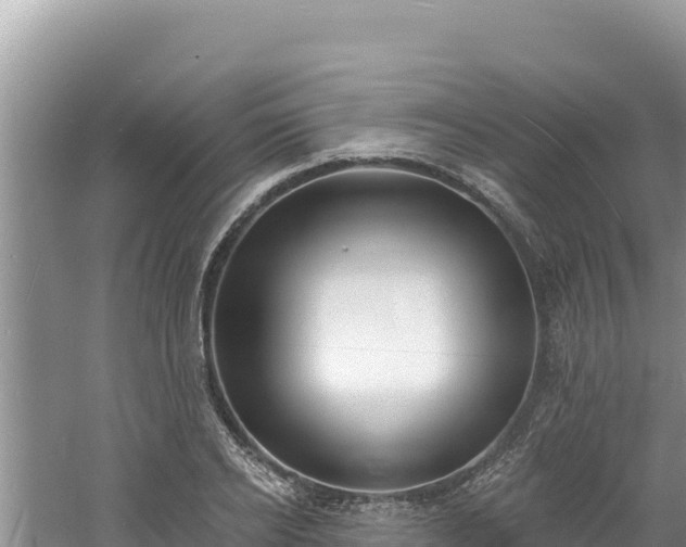 X0000060810934200511171304