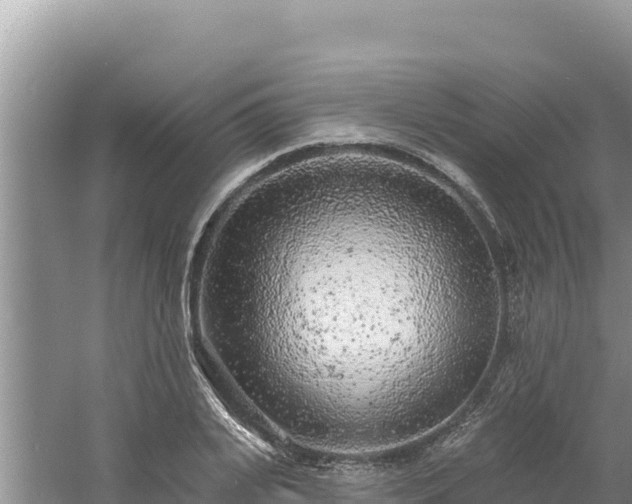 X0000060810935200511171305