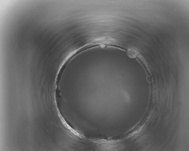 X0000060810941200511171305