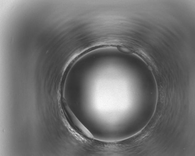 X0000060810944200511171305