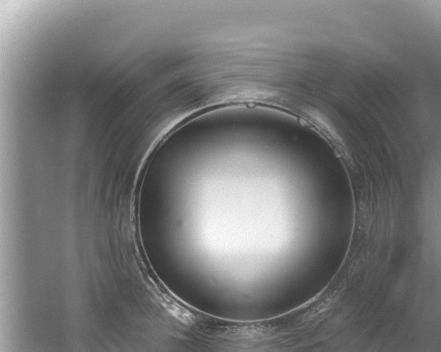 X0000060810948200511171305