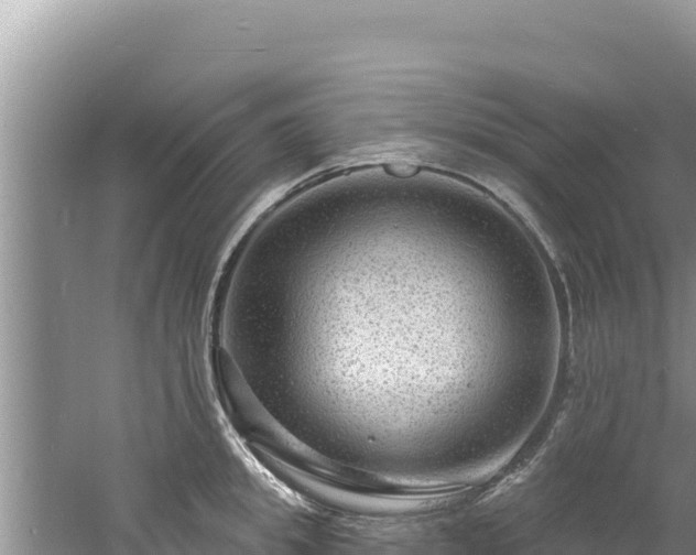 X0000060810949200511171305