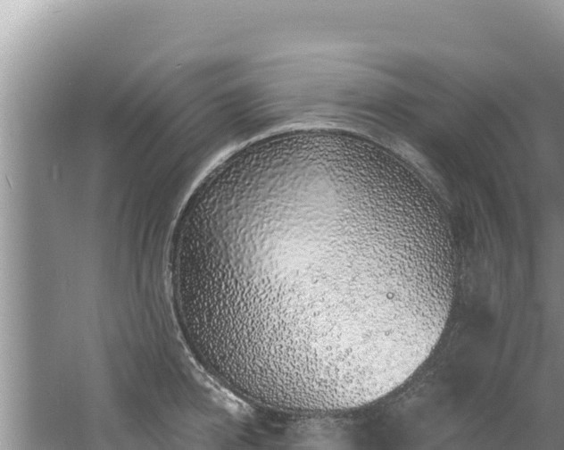 X0000060810950200511171305