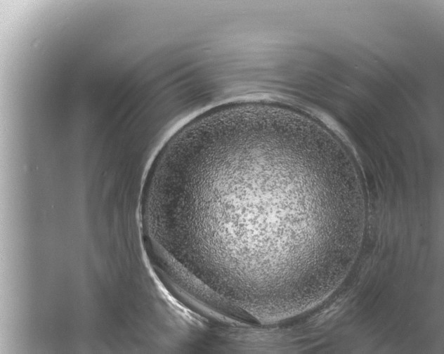 X0000060810951200511171305